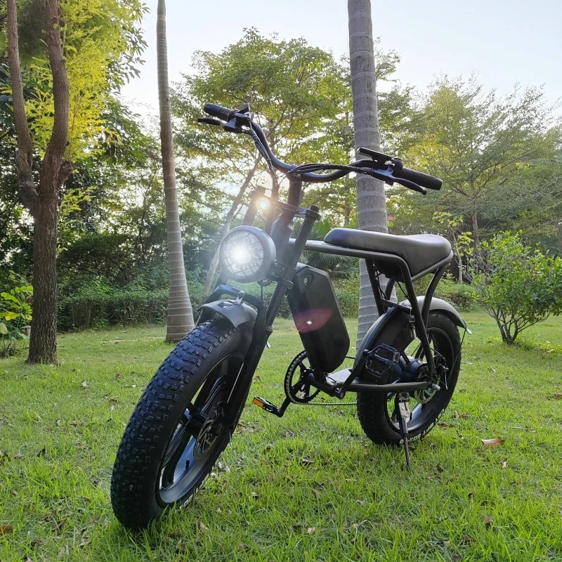 Orginal  V8 Fatbike Factory Price 250w High Speed Motor Cheap Electric Bicycle 20" Fat Tire Ebike For Adults in Stock EU USA