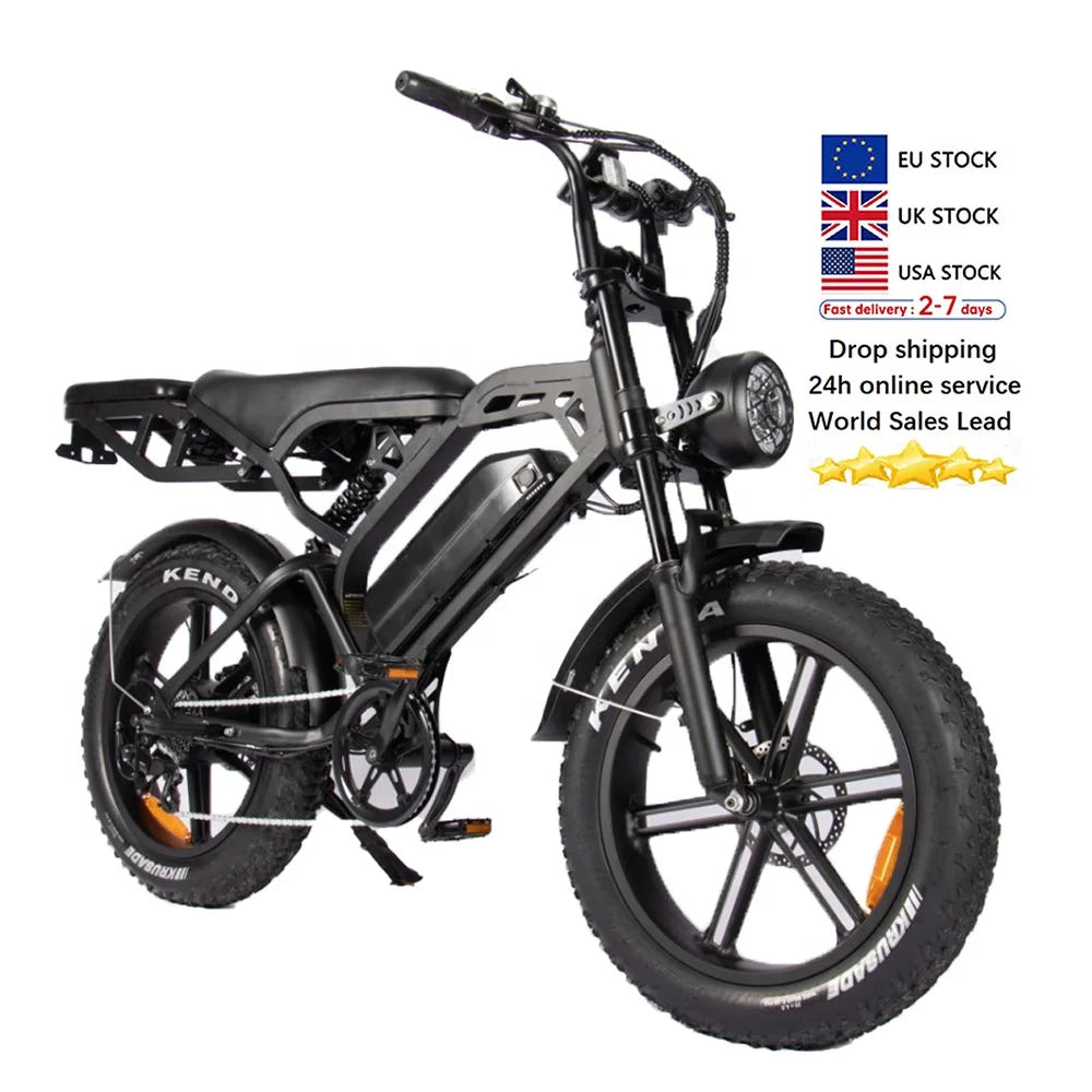 EU E Bike Electric Fatbike Velo Electric Motor Elrctric Double Seat Bike Electric Cycles V20 Pro 250W Ebike