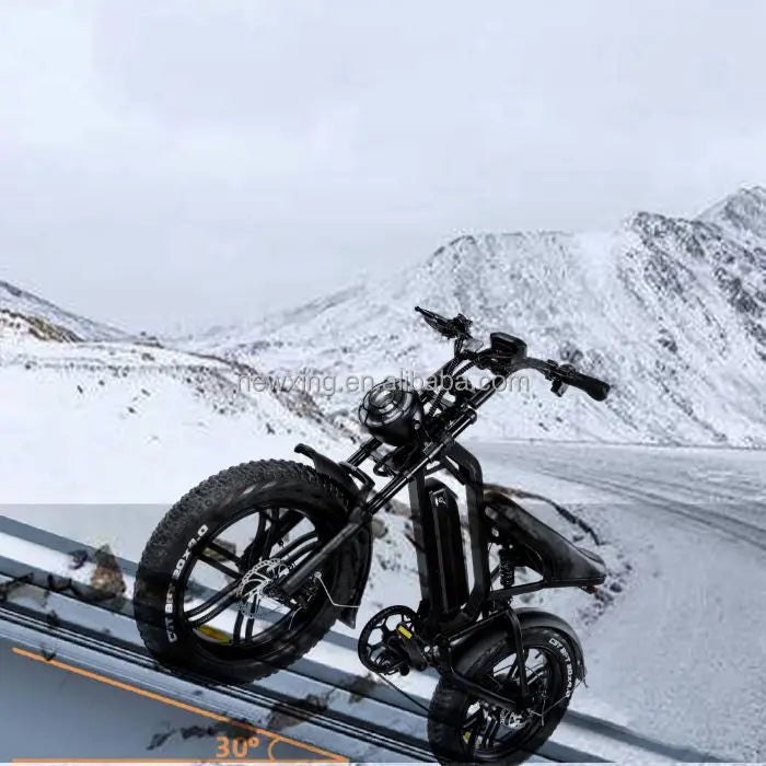 EU E Bike Electric Fatbike Velo Electric Motor Elrctric Double Seat Bike Electric Cycles V20 Pro 250W Ebike