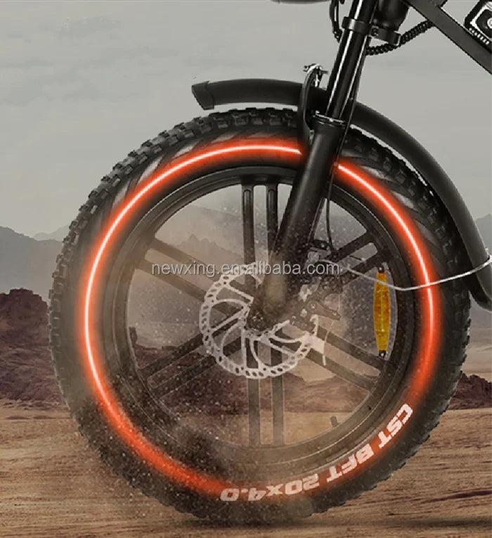 EU E Bike Electric Fatbike Velo Electric Motor Elrctric Double Seat Bike Electric Cycles V20 Pro 250W Ebike